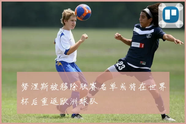 努涅斯被移除联赛名单或将在世界杯后重返欧洲球队