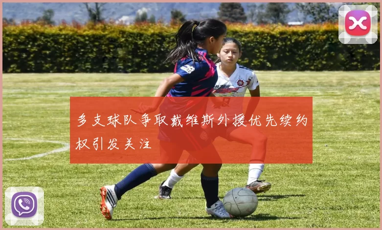 多支球队争取戴维斯外援优先续约权引发关注