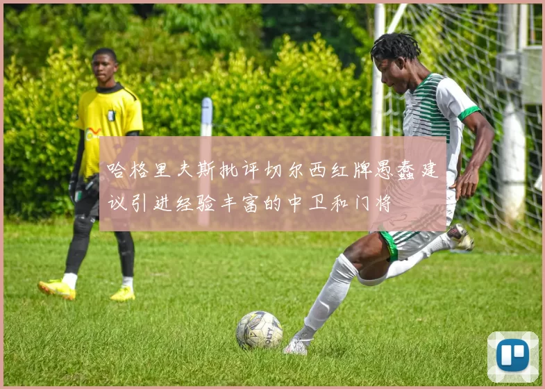 哈格里夫斯批评切尔西红牌愚蠢建议引进经验丰富的中卫和门将